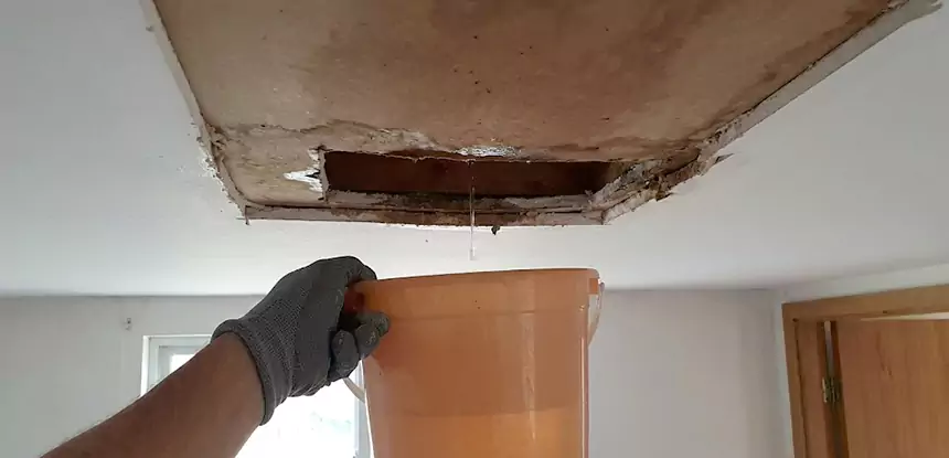 Ceiling Mold Repair Moreland 
